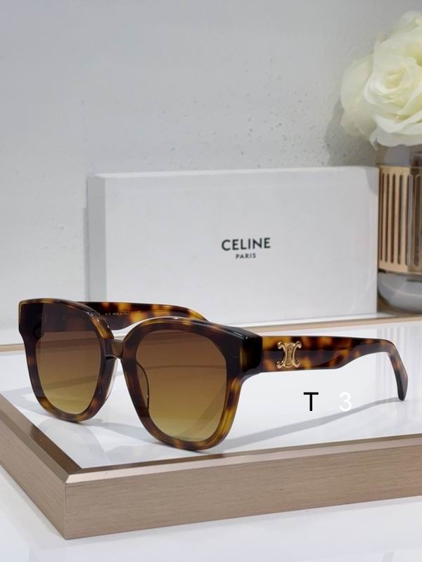CELINE CL42094U 55 18-145 c01