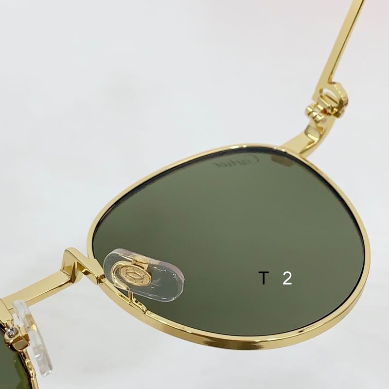 Cartier CT0335S 48 21-145 b07