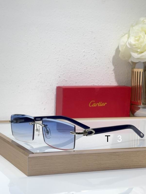 Cartier CT0465S 55 17-140 C04