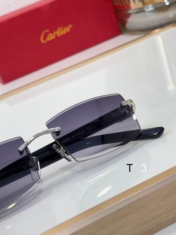 Cartier CT0465S 55 17-140 C07