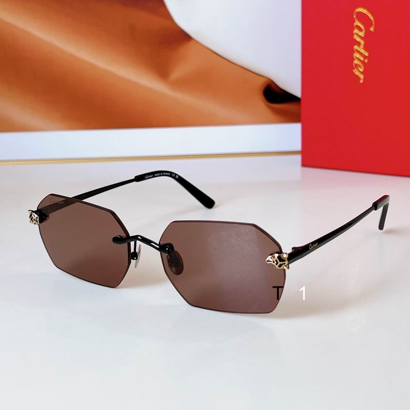 Cartier CT0504S 58 18-145 a05