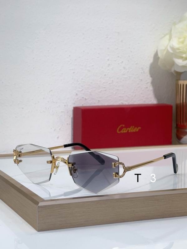 Cartier CT0582S 142 c01
