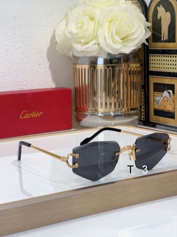 Cartier CT0582S 142 c09
