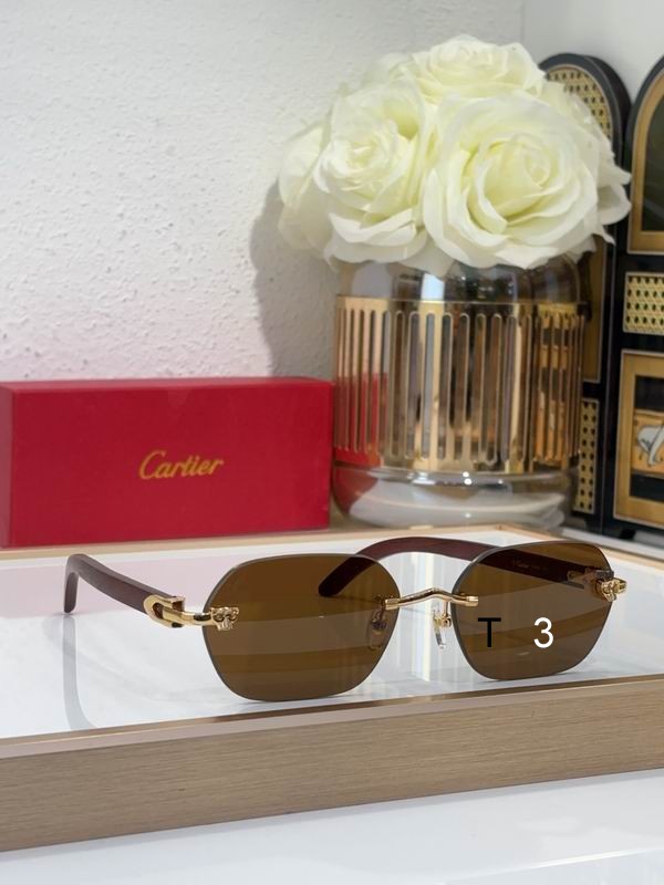 Cartier CT0611S 60 18 143 c07