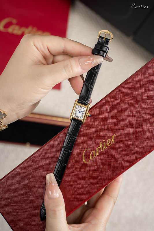 Cartier 16.5X24mm 86 (6)