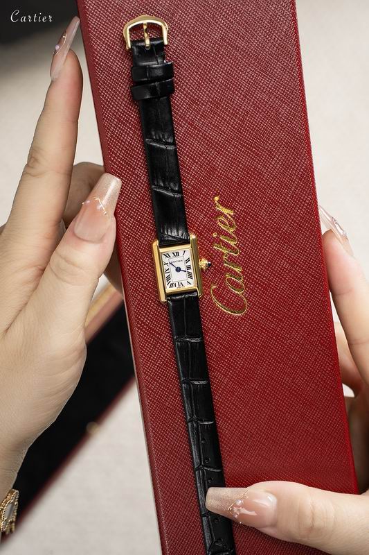 Cartier 16.5X24mm 86 (7)