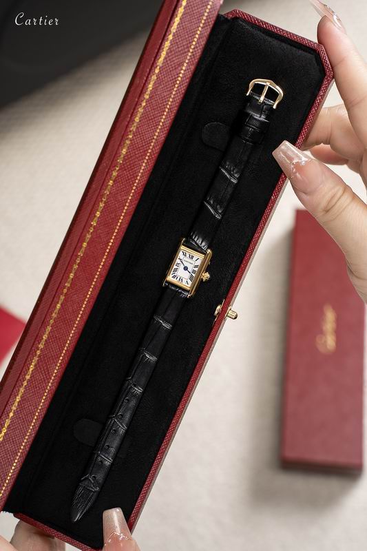 Cartier 16.5X24mm 86 (9)