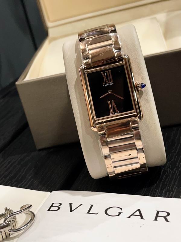 Cartier 22.5X33.5mm 72 (13)