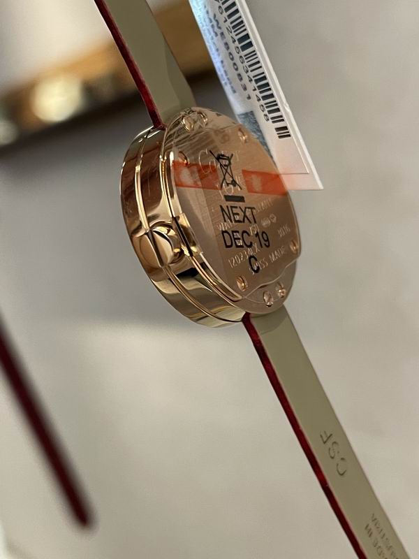 Cartier 24mm 30 (13)