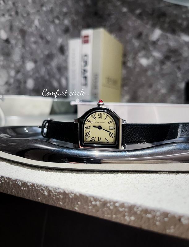 Cartier 30mm 24mm 63 (12)