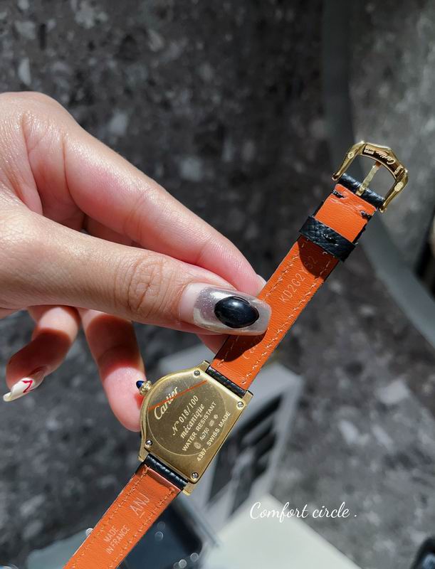 Cartier 30mm 24mm 63 (18)