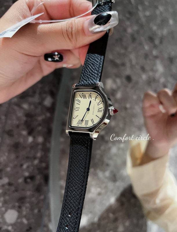 Cartier 30mm 24mm 63 (21)