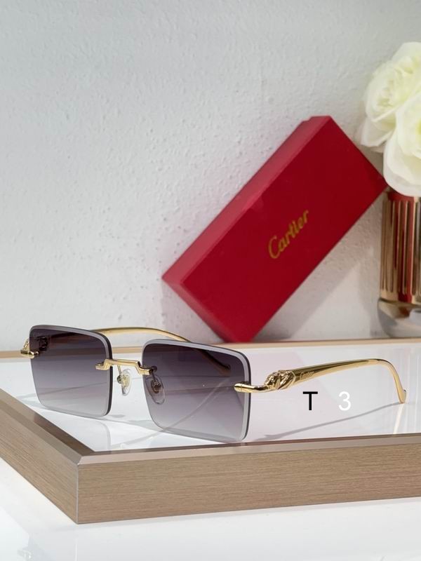 Cartier CT0058O 55 19-130 C01