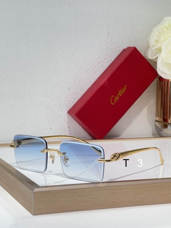 Cartier CT0058O 55 19-130 C03