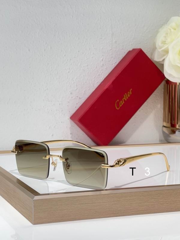 Cartier CT0058O 55 19-130 C04