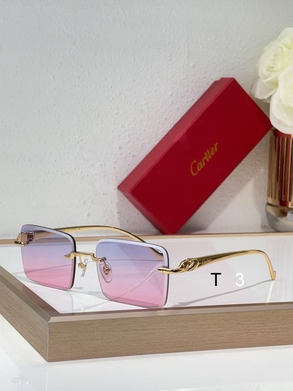 Cartier CT0058O 55 19-130 C06