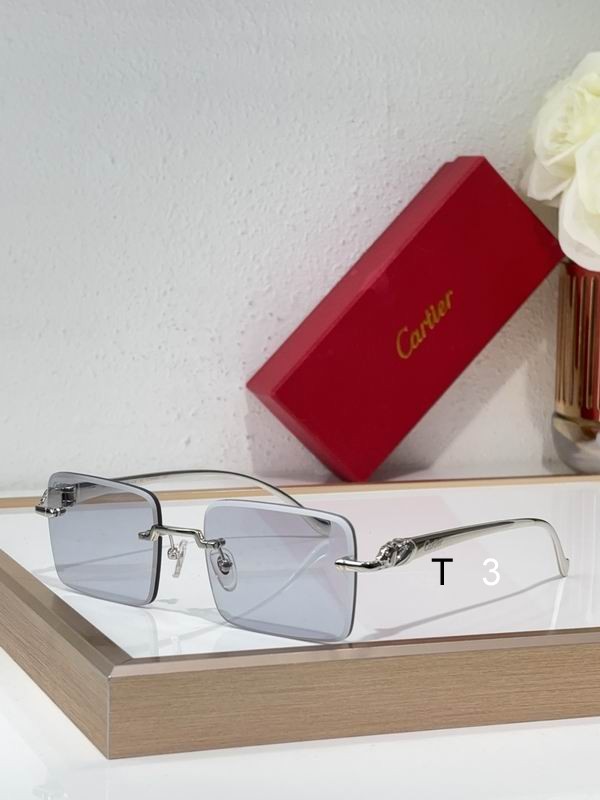 Cartier CT0058O 55 19-130 C07