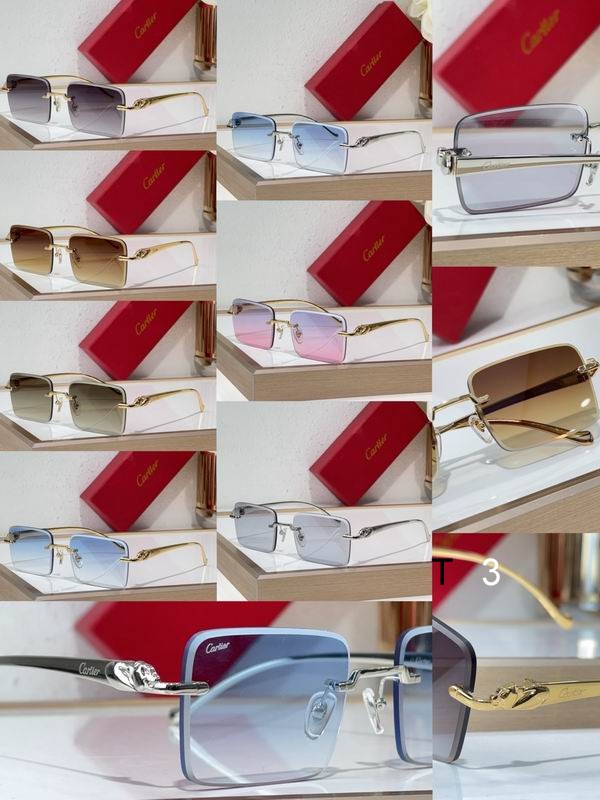 Cartier CT0058O 55 19-130 C10