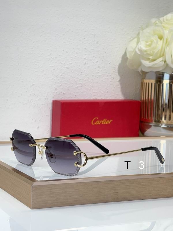 Cartier CT0092O 55 18-135 C01