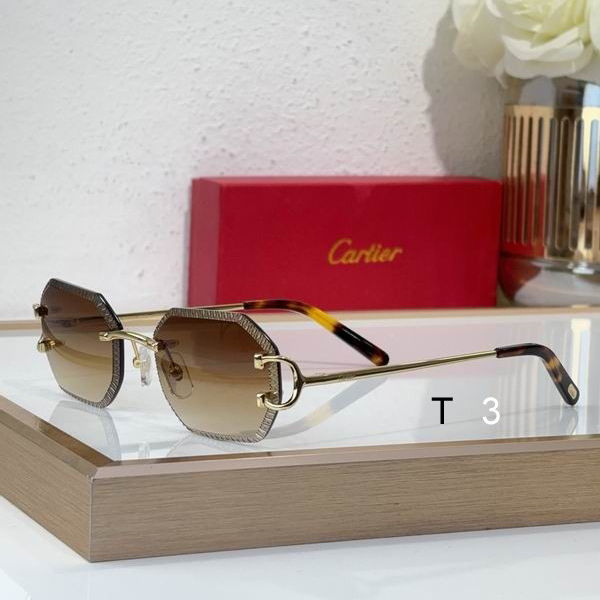 Cartier CT0092O 55 18-135 C02
