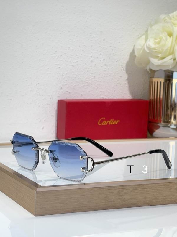 Cartier CT0092O 55 18-135 C03