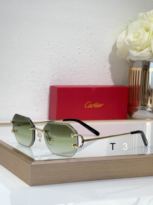 Cartier CT0092O 55 18-135 C04
