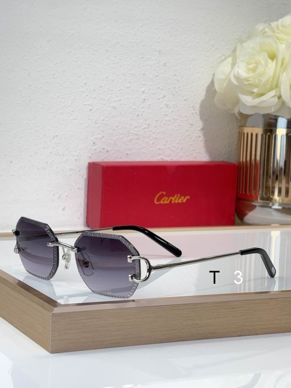 Cartier CT0092O 55 18-135 C05