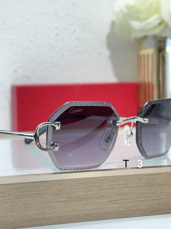 Cartier CT0092O 55 18-135 C06
