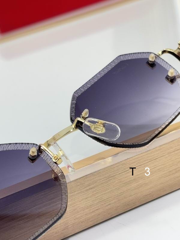 Cartier CT0092O 55 18-135 C08