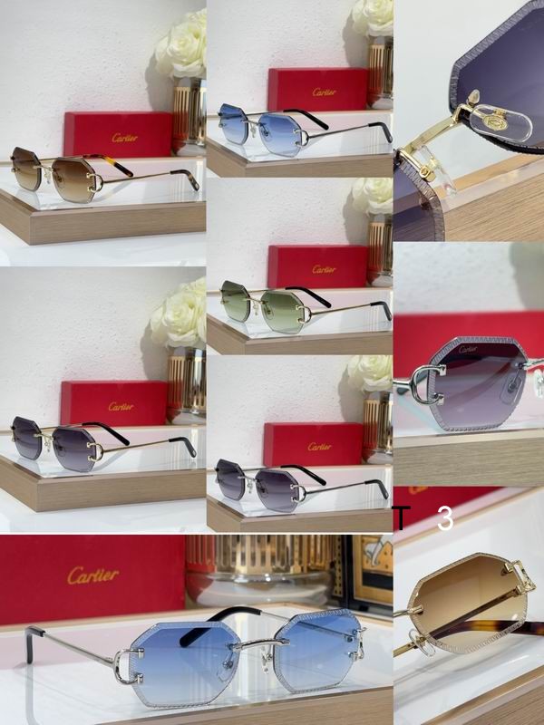 Cartier CT0092O 55 18-135 C10