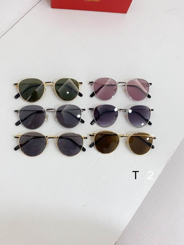 Cartier CT0335S 48 21-145 b09