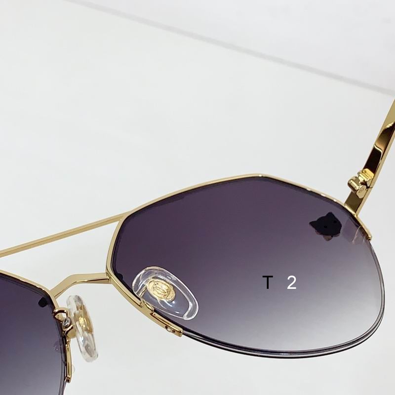 Cartier CT0355S 64 15-140 b17