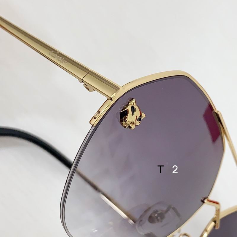 Cartier CT0355S 64 15-140 b18