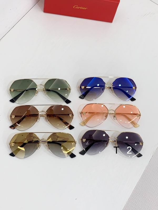 Cartier CT0355S 64 15-140 b19