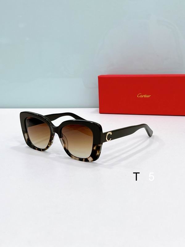 Cartier CT0438O 54-20-140 F05