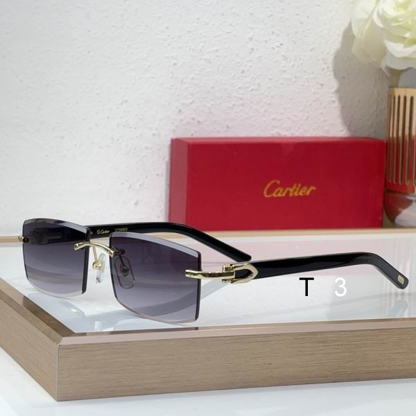 Cartier CT0465S 55 17-140 C02