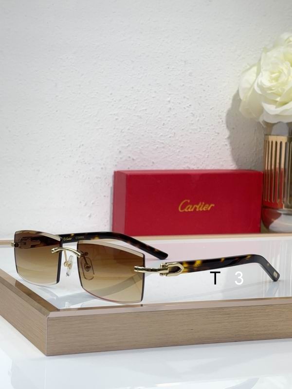 Cartier CT0465S 55 17-140 C05