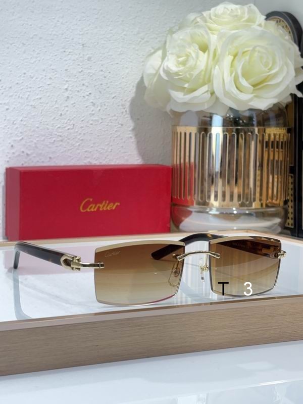 Cartier CT0465S 55 17-140 C06
