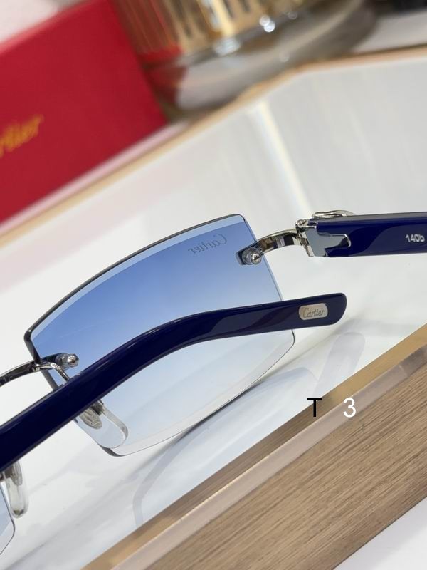 Cartier CT0465S 55 17-140 C08