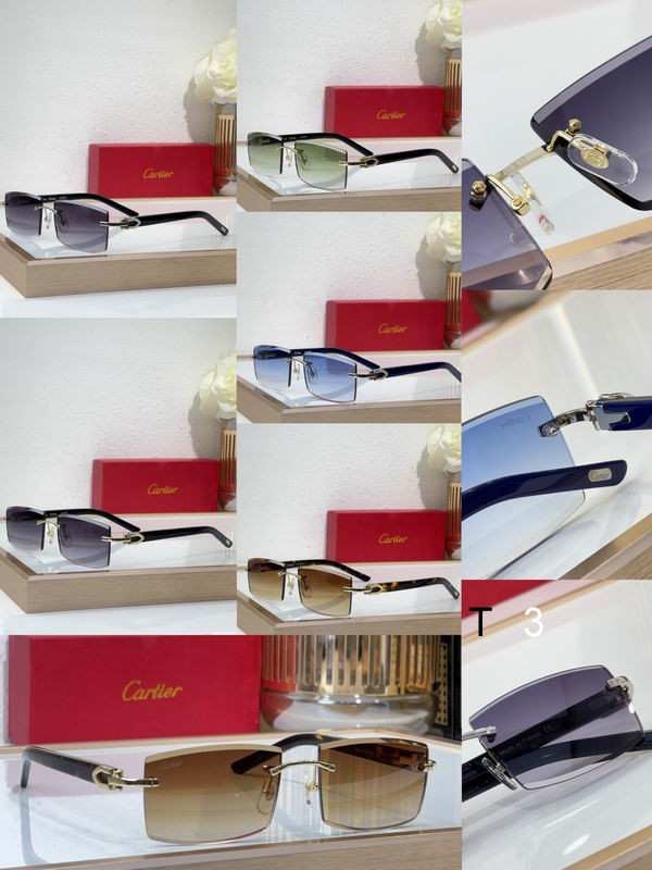 Cartier CT0465S 55 17-140 C10