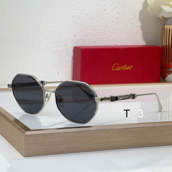 Cartier CT0484S 48 21-145 c02