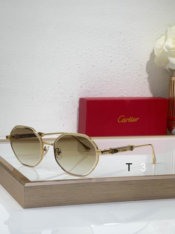 Cartier CT0484S 48 21-145 c04