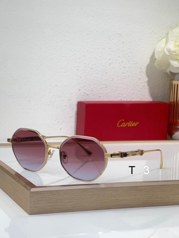 Cartier CT0484S 48 21-145 c05