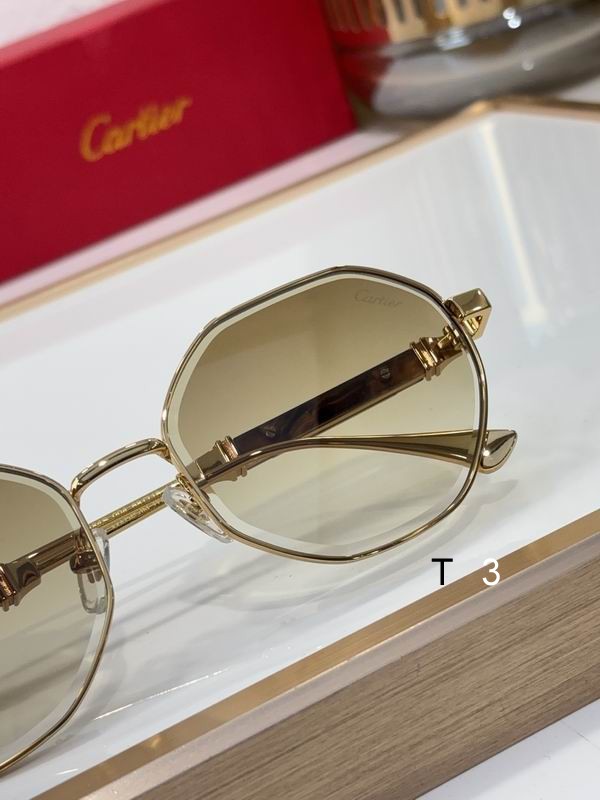 Cartier CT0484S 48 21-145 c07