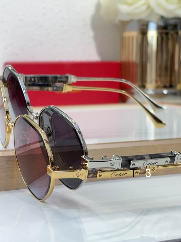 Cartier CT0484S 48 21-145 c08