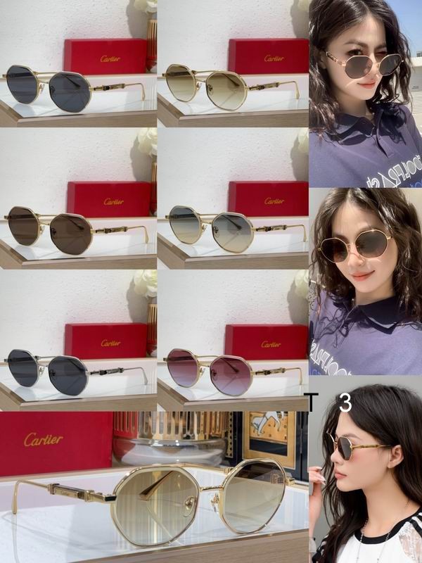 Cartier CT0484S 48 21-145 c09