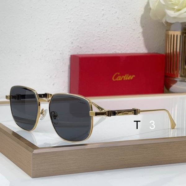 Cartier CT0485S 48 21-145 c01