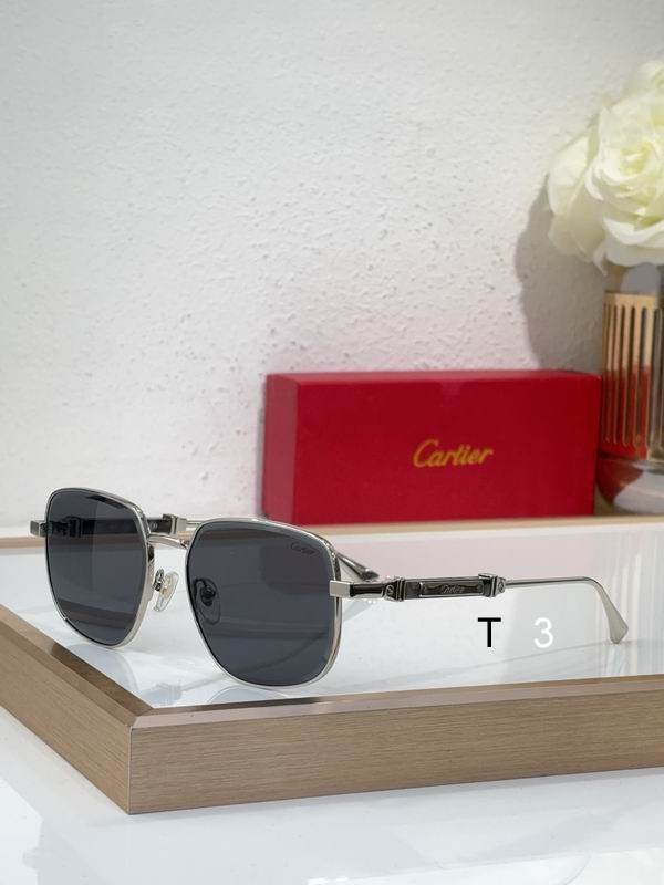 Cartier CT0485S 48 21-145 c02