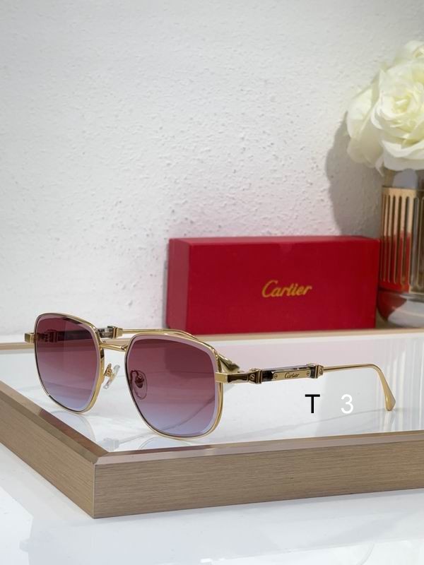 Cartier CT0485S 48 21-145 c04