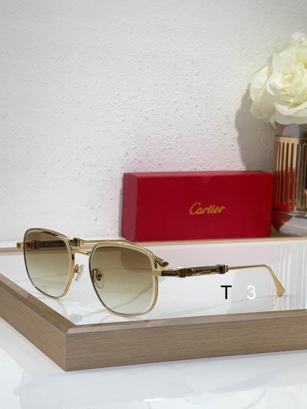 Cartier CT0485S 48 21-145 c05
